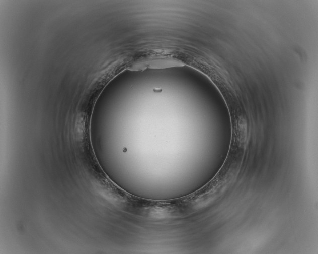 X0000112470412200908241237