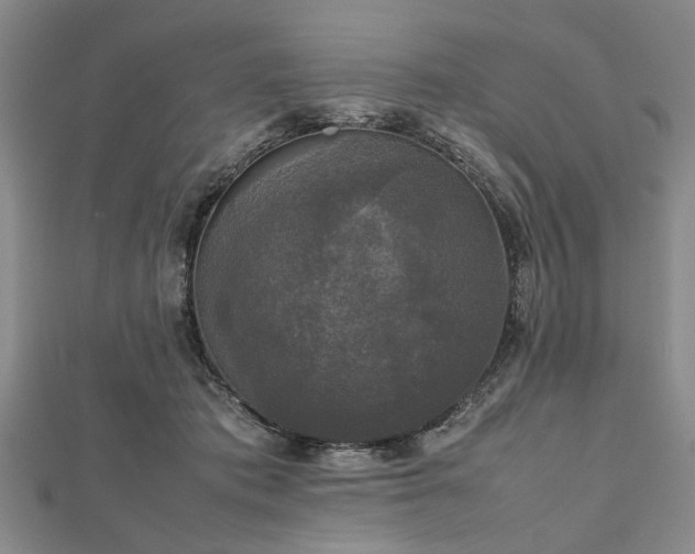 X0000112470413200908241237