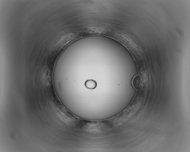 X0000112470414200908241237