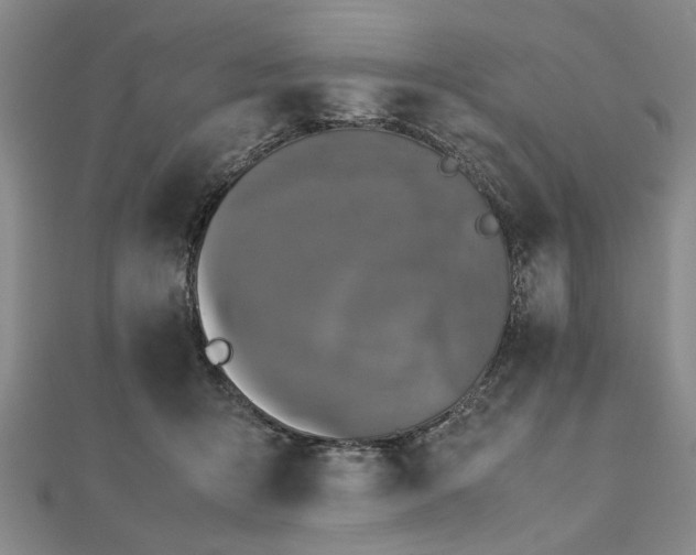 X0000112470415200908241237