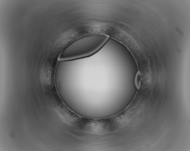 X0000112470416200908241237