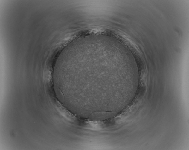 X0000112470417200908241237