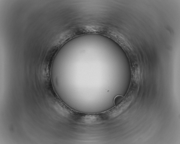 X0000112470418200908241237