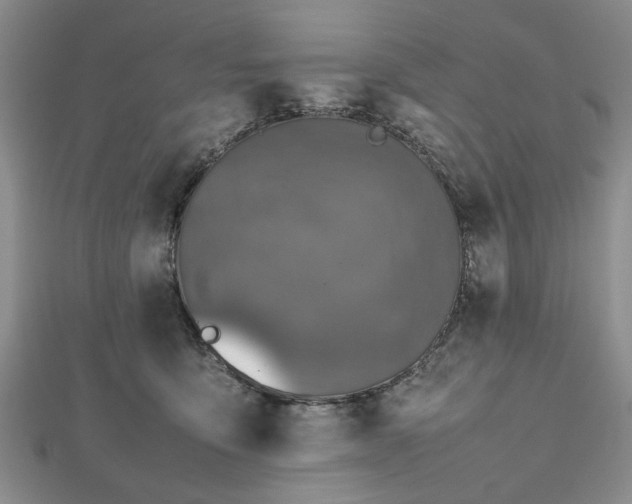 X0000112470419200908241237