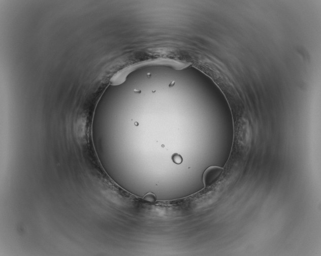 X0000112470420200908241237