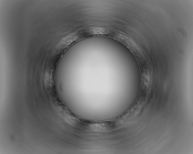 X0000112470422200908241237