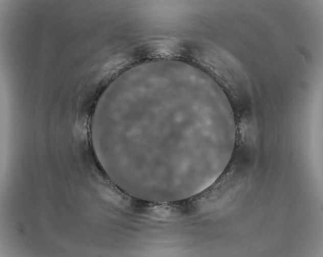 X0000112470423200908241237