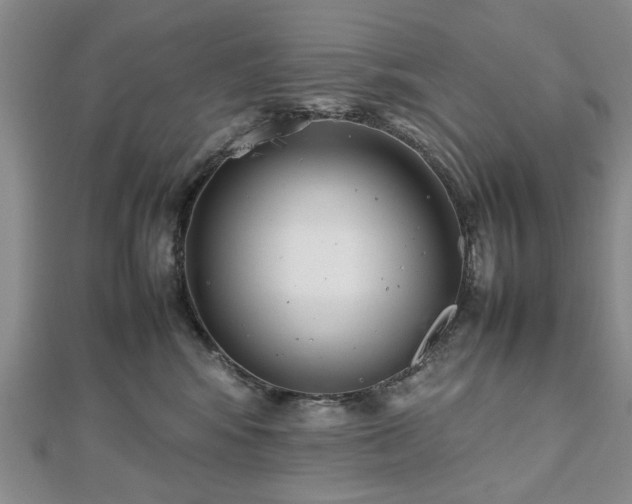 X0000112470424200908241237