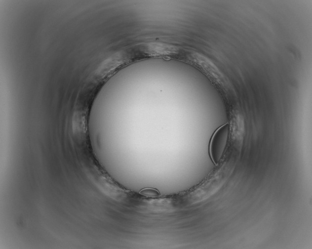 X0000112470426200908241237