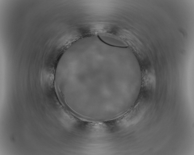 X0000112470427200908241237