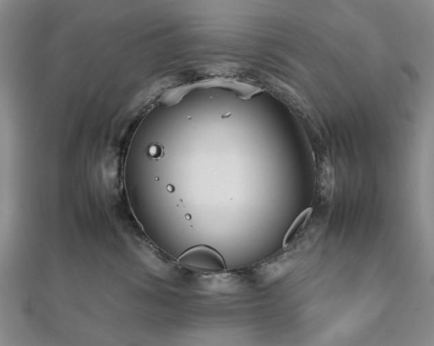 X0000112470428200908241237