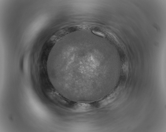 X0000112470429200908241237