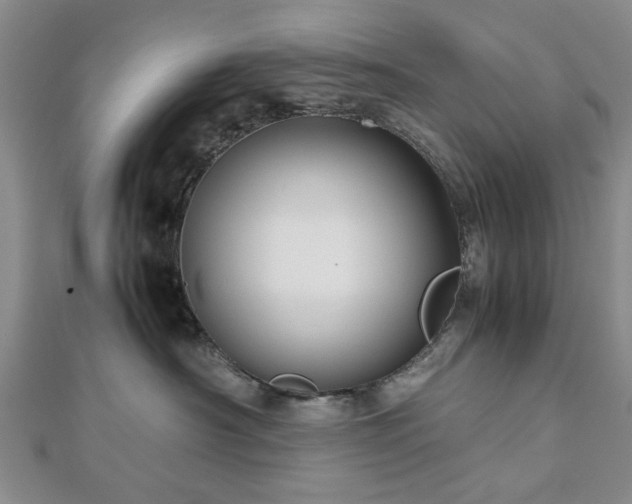 X0000112470430200908241237