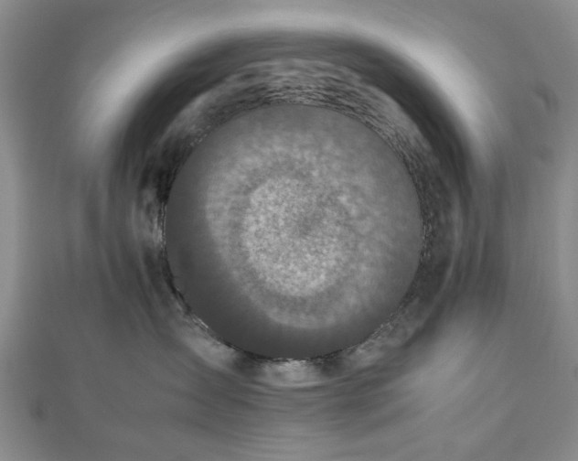 X0000112470431200908241237