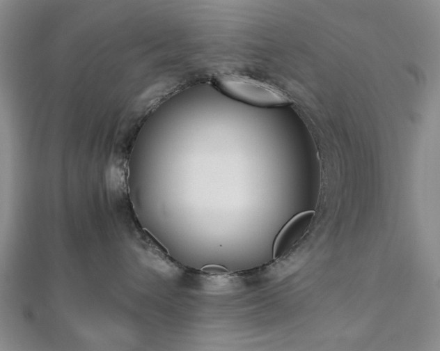 X0000112470432200908241237