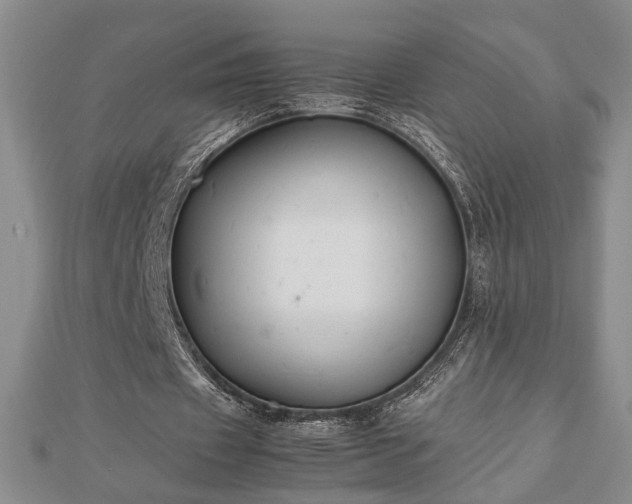 X0000112470433200908241236