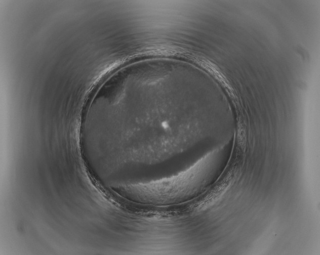 X0000112470434200908241236