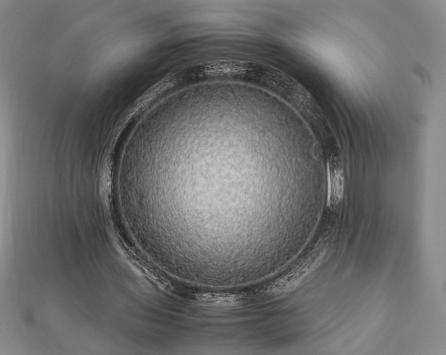 X0000112470435200908241236