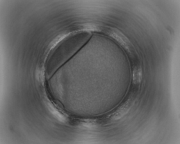 X0000112470436200908241236