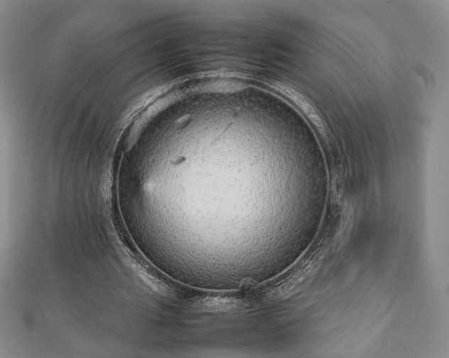 X0000112470437200908241236