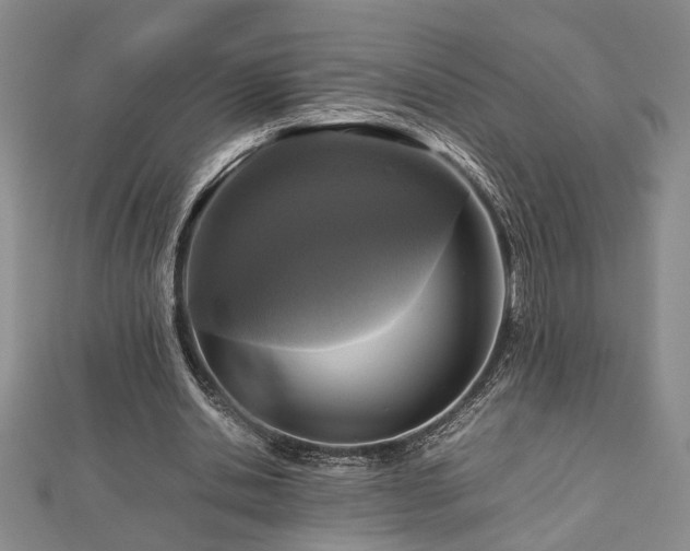 X0000112470438200908241236