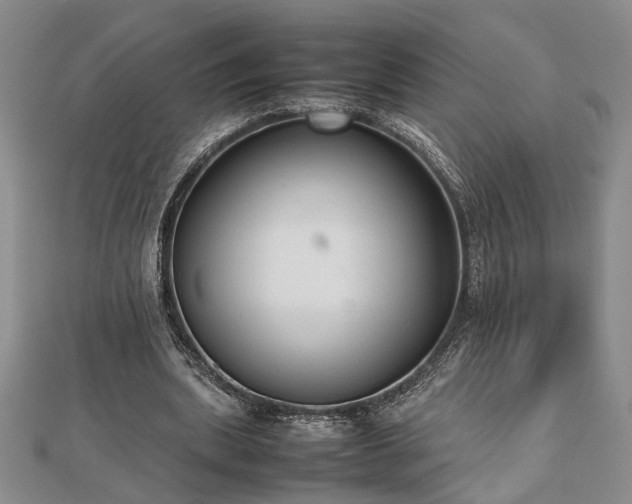 X0000112470439200908241236