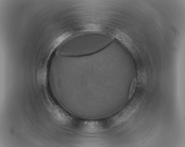 X0000112470440200908241236