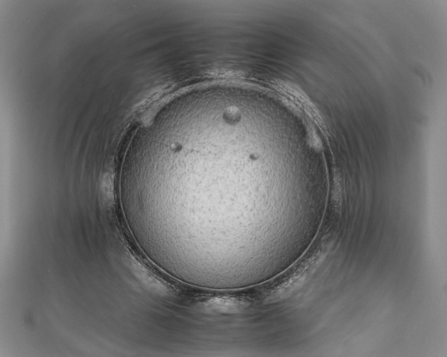 X0000112470441200908241236