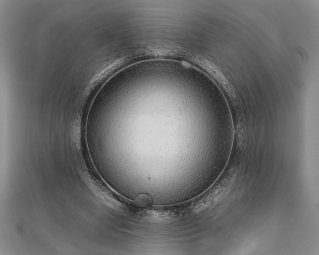 X0000112470442200908241236