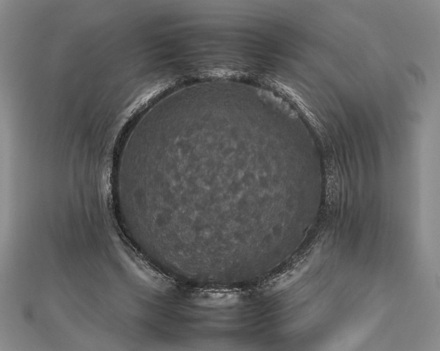 X0000112470443200908241236