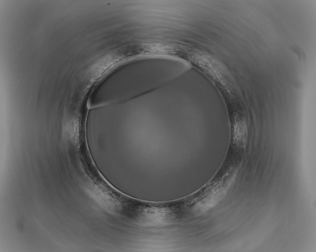 X0000112470444200908241236