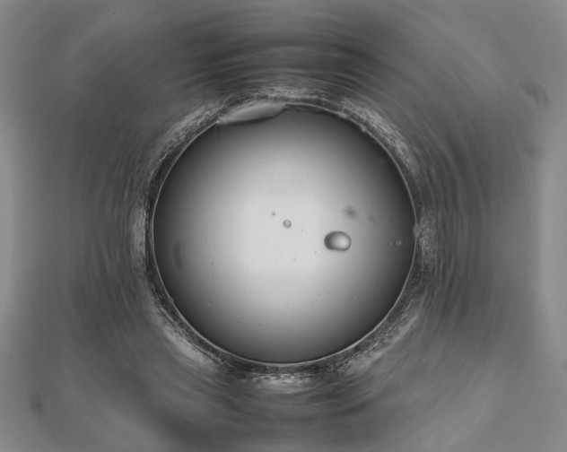 X0000112470445200908241236