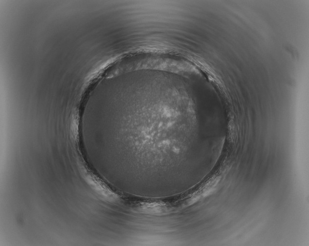 X0000112470446200908241236