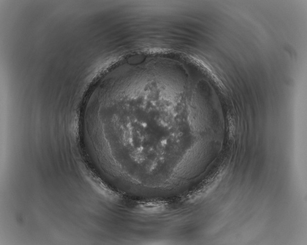 X0000112470447200908241236