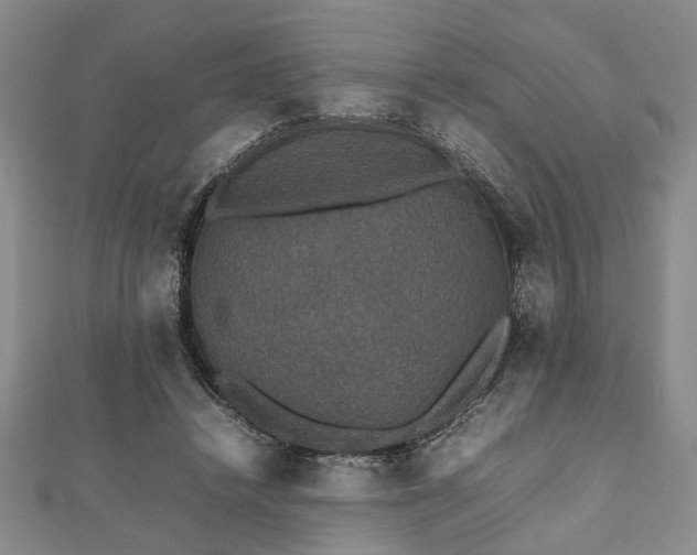 X0000112470448200908241236