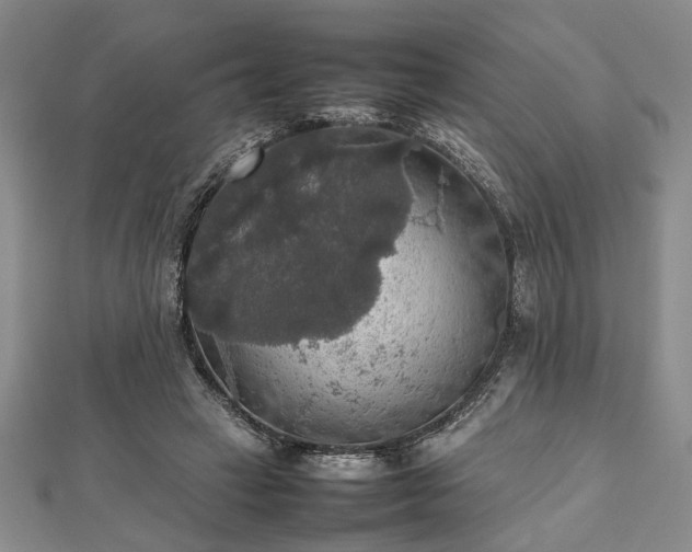 X0000112470449200908241236