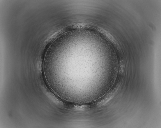 X0000112470450200908241236