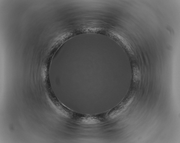 X0000112470451200908241236