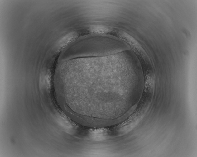 X0000112470452200908241236