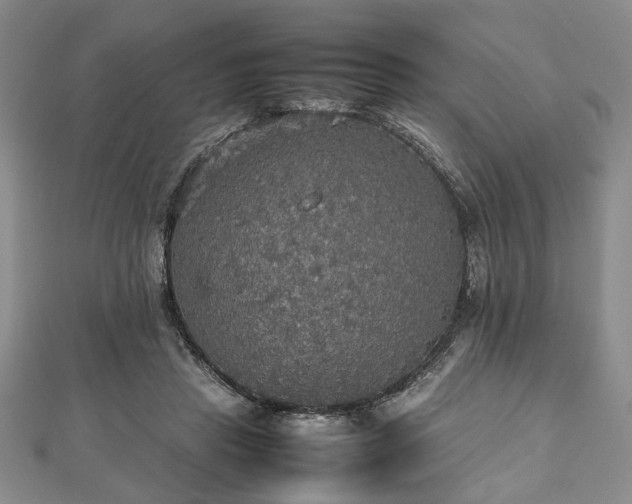 X0000112470453200908241236