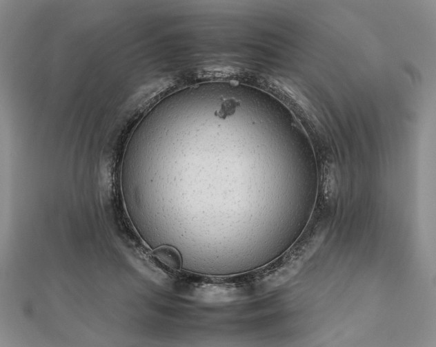 X0000112470455200908241236