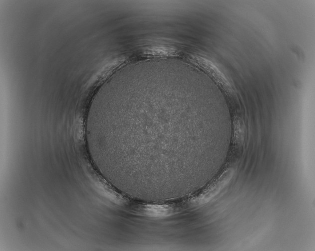 X0000112470457200908241236