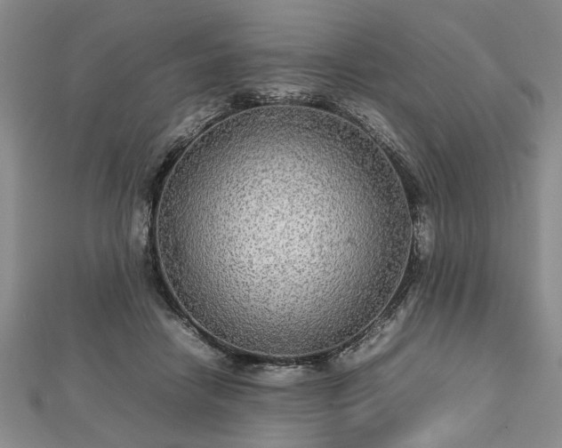 X0000112470458200908241236