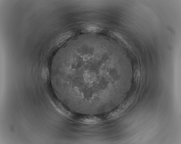 X0000112470459200908241236