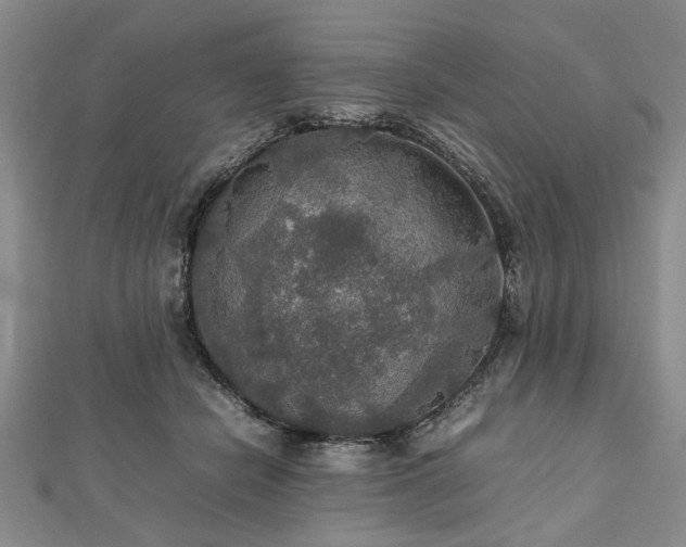 X0000112470462200908241237