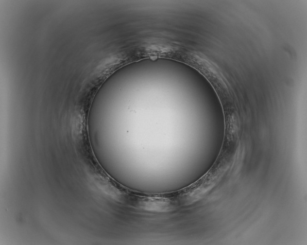 X0000112470463200908241237