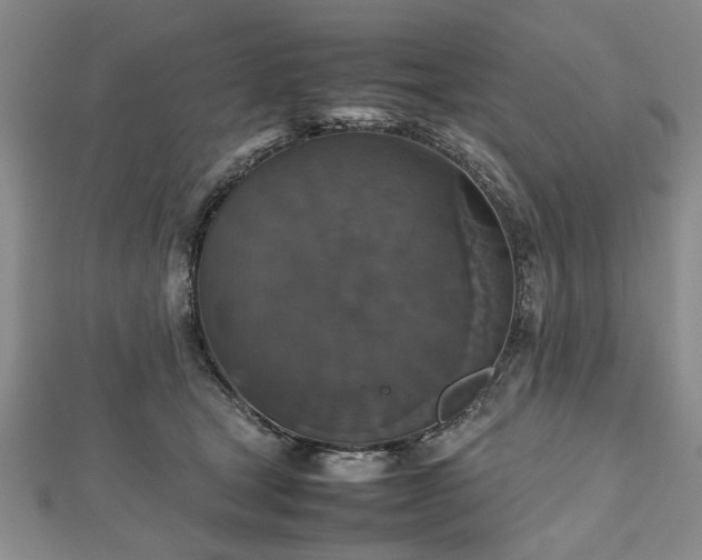 X0000112470465200908241237