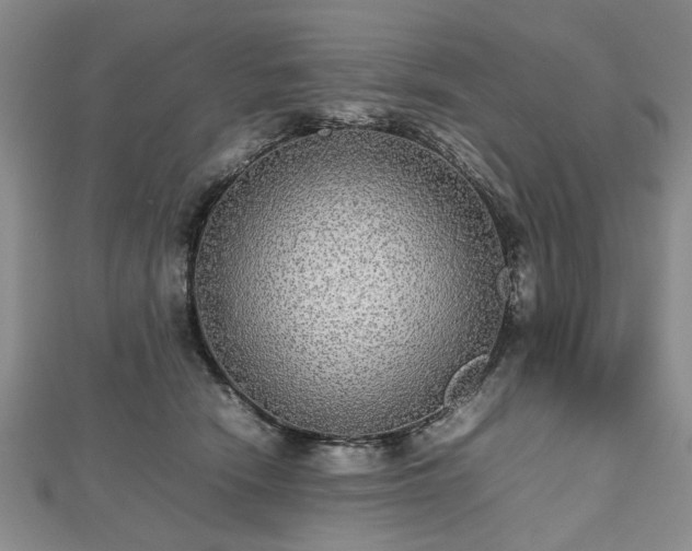 X0000112470466200908241237