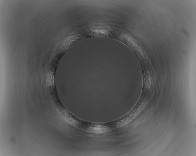 X0000112470467200908241237