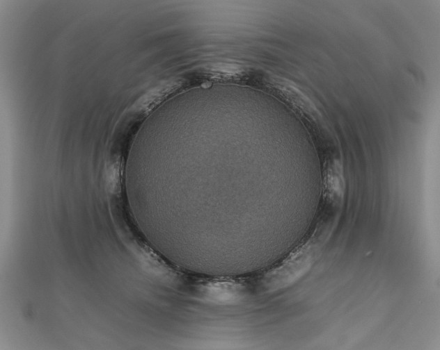 X0000112470468200908241237